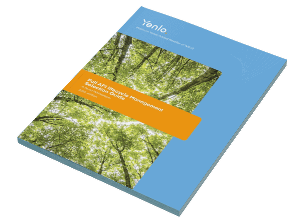 Full API lifecycle Management Selection Guide