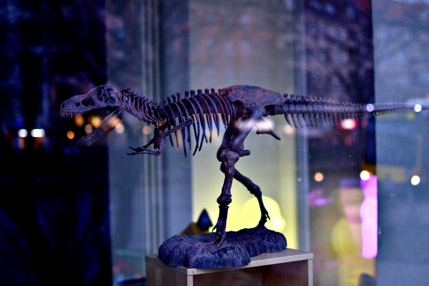 Micro-T-rex-1 Micro - T rex-1